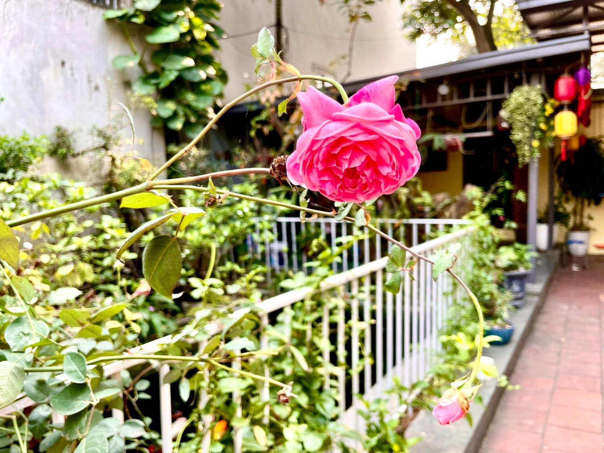 Lee Homestay Hanoj Exteriér fotografie