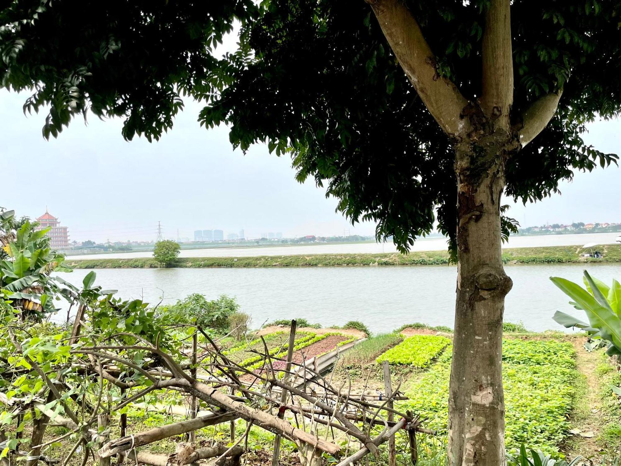 Lee Homestay Hanoj Exteriér fotografie